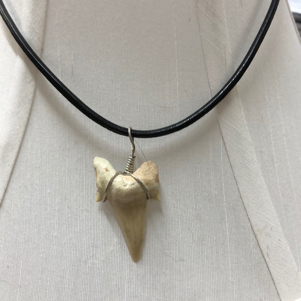 Shark tooth Necklace